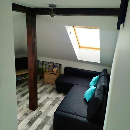 דירות Cerna u Bohdance Podkrovni Apartman V Prirode, Vhodny K Relaxaci I Na Sluzebni Cesty מראה חיצוני תמונה