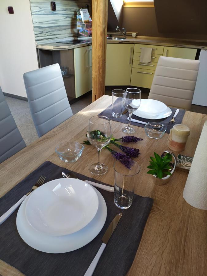 דירות Cerna u Bohdance Podkrovni Apartman V Prirode, Vhodny K Relaxaci I Na Sluzebni Cesty מראה חיצוני תמונה