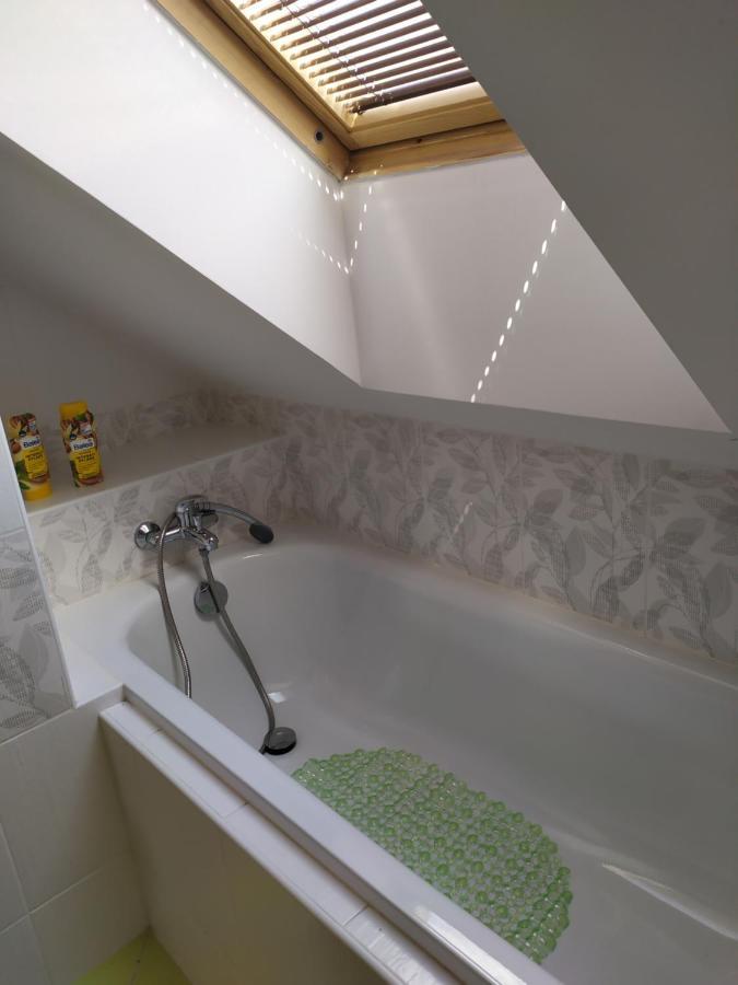 דירות Cerna u Bohdance Podkrovni Apartman V Prirode, Vhodny K Relaxaci I Na Sluzebni Cesty מראה חיצוני תמונה