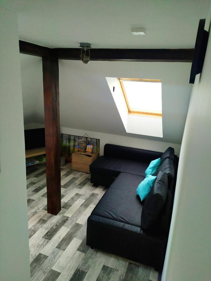 דירות Cerna u Bohdance Podkrovni Apartman V Prirode, Vhodny K Relaxaci I Na Sluzebni Cesty מראה חיצוני תמונה