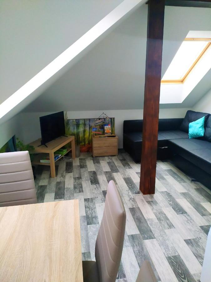 דירות Cerna u Bohdance Podkrovni Apartman V Prirode, Vhodny K Relaxaci I Na Sluzebni Cesty מראה חיצוני תמונה