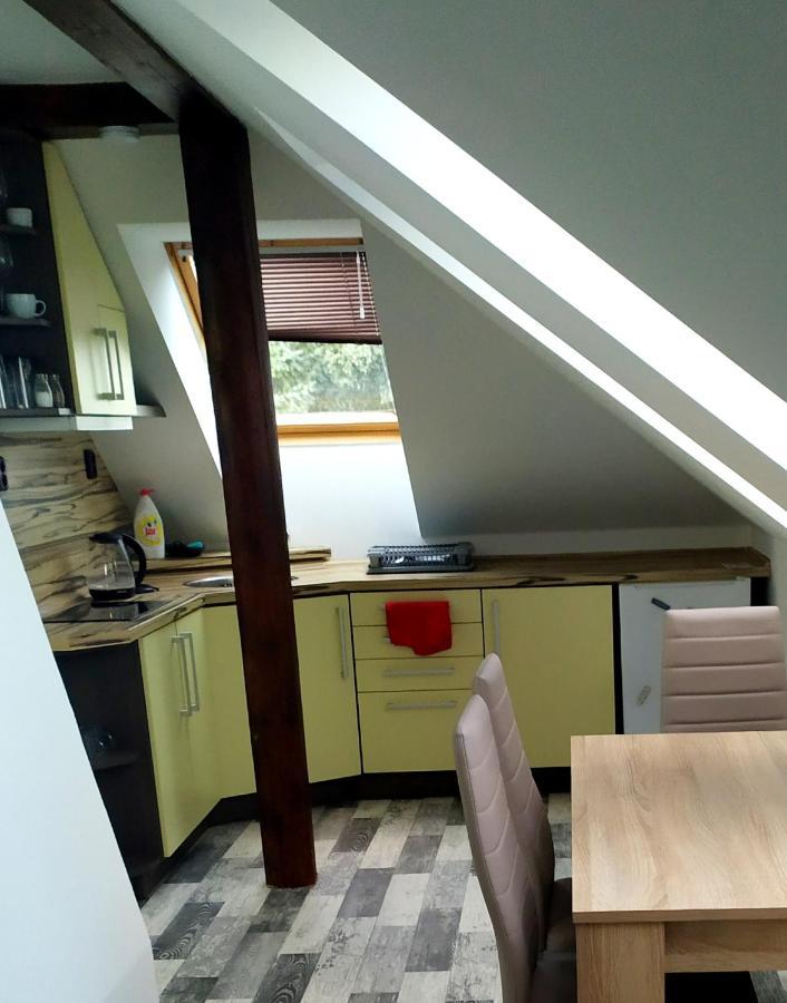 דירות Cerna u Bohdance Podkrovni Apartman V Prirode, Vhodny K Relaxaci I Na Sluzebni Cesty מראה חיצוני תמונה